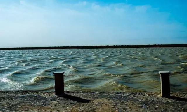 33ee59e0c76c23db6f90390987c7928c.jpg 5.jpg