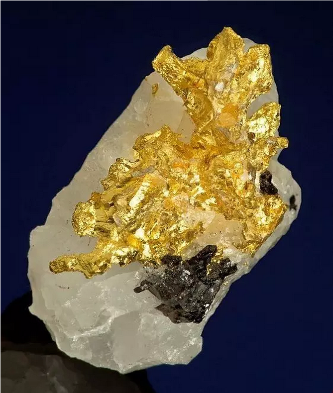 7674570c930308e47f0a63a94f335a21.png 2.png