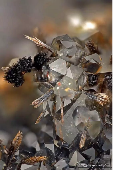 787d1596002fddb3575d18e4b42cdd29.png 32.png