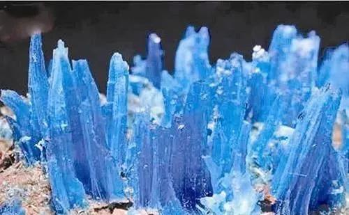 a48181d57b4ef1896166e61c85fd819b.jpg 3.jpg